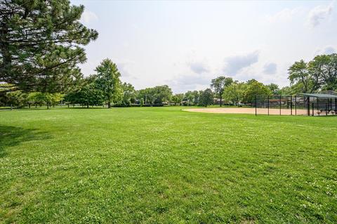 320 W Walnut Ave, Des Plaines, IL 60016 photo 7