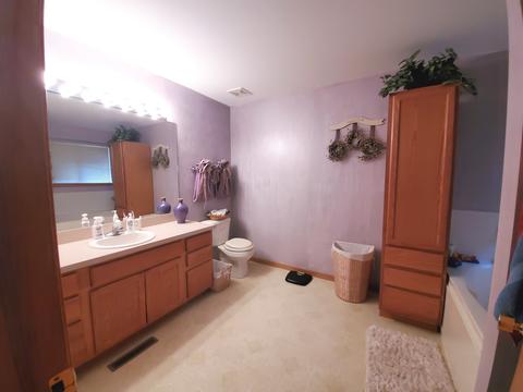 2407 Red Oak Ct, Plainfield, IL 60586 photo 32