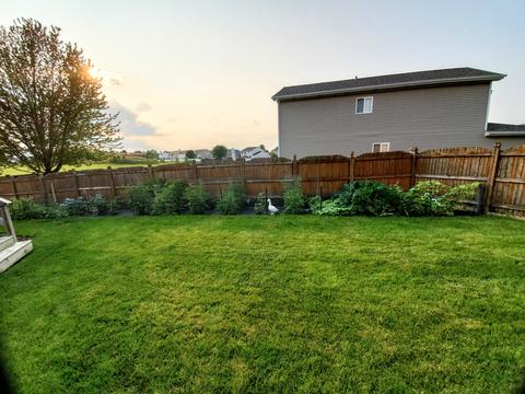 2407 Red Oak Ct, Plainfield, IL 60586 photo 21