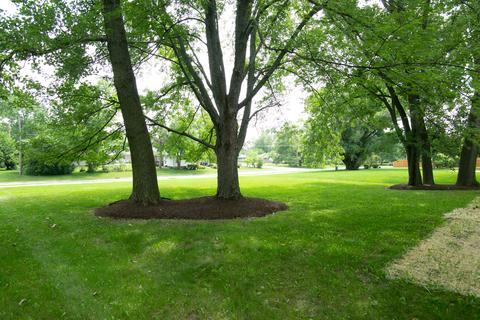 3218 Cumberland Trl, Olympia Fields, IL 60461 photo 3