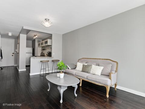 1 E Scott St #608, Chicago, IL 60610 photo 9