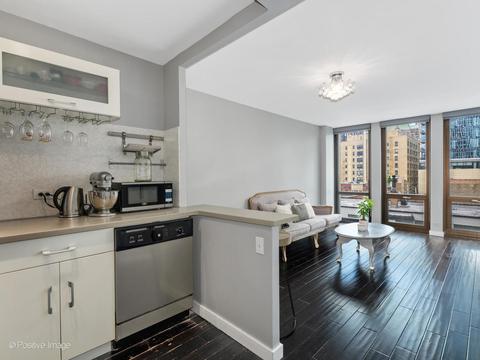 1 E Scott St #608, Chicago, IL 60610 photo 11