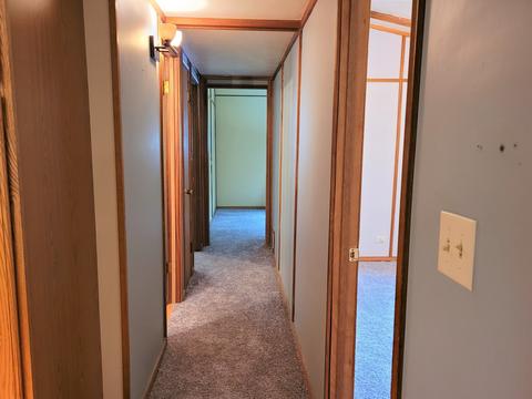 9724 N Memory Ln, Leaf River, IL 61047 photo 34