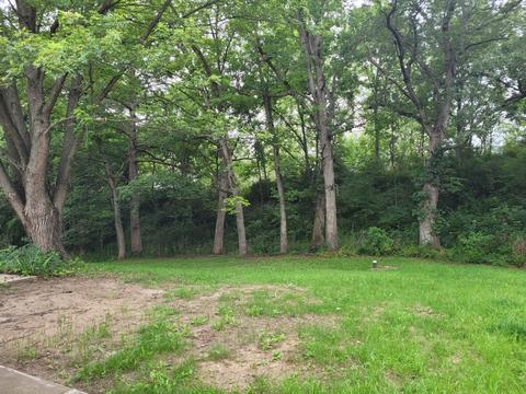 9724 N Memory Ln, Leaf River, IL 61047 photo 5