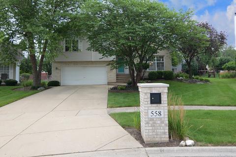 558 Abbey Rd, Bartlett, IL 60103 photo 36
