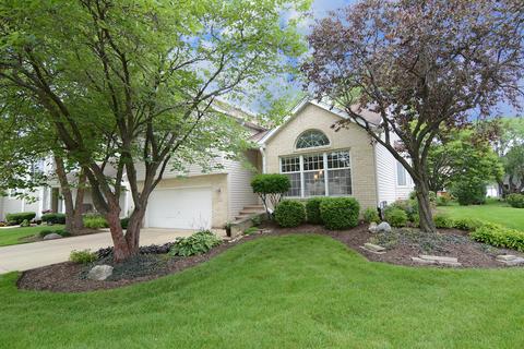 558 Abbey Rd, Bartlett, IL 60103 photo 1