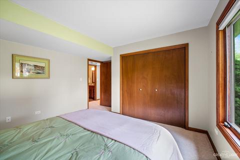 6455 Cape Cod Ct, Lisle, IL 60532 photo 19