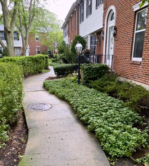 9038 Forestview Rd, Evanston, IL 60203 photo 2