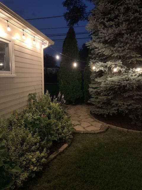 2064 Pratt Ave, Des Plaines, IL 60018 photo 29