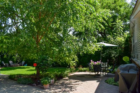 2064 Pratt Ave, Des Plaines, IL 60018 photo 22