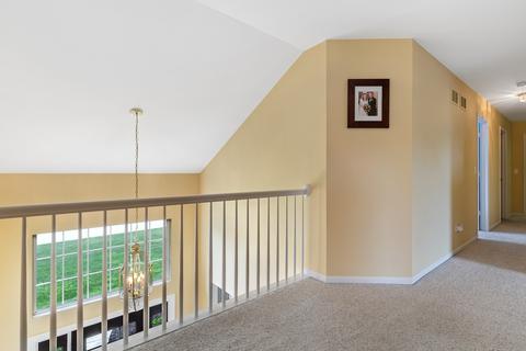 9006 Daniel Ln, Spring Grove, IL 60081 photo 13