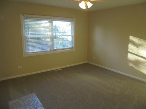158 S Hale Ave, Bartlett, IL 60103 photo 15