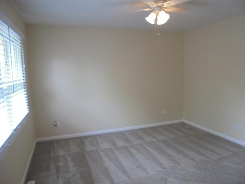 158 S Hale Ave, Bartlett, IL 60103 photo 20