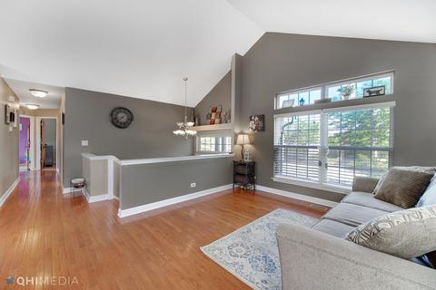 313 Barton Ct, Bartlett, IL 60103 photo 4