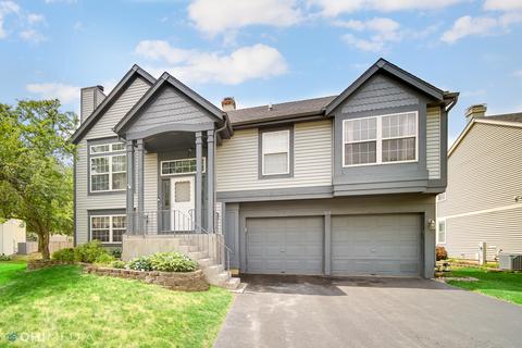 313 Barton Ct, Bartlett, IL 60103 photo 1