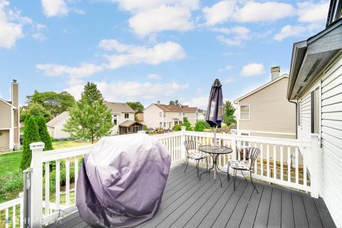 313 Barton Ct, Bartlett, IL 60103 photo 23