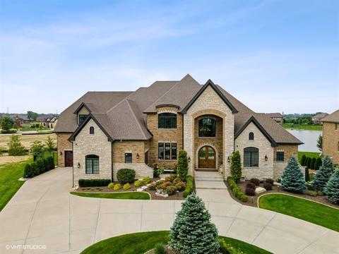 23368 Jackson Br, Frankfort, IL 60423 photo 1