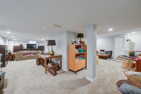 1195 E Gartner Rd, Naperville, IL 60540 photo 40