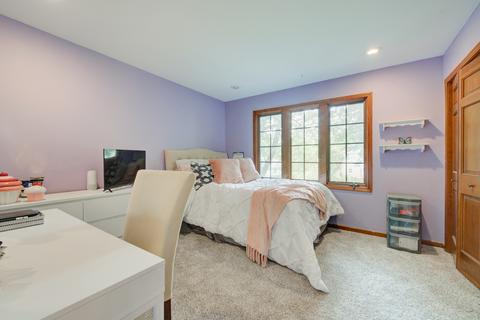 1195 E Gartner Rd, Naperville, IL 60540 photo 30