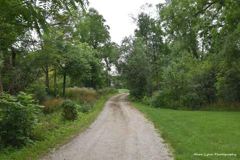 33 W949 Army Trail Rd, Wayne, IL 60184 photo 65