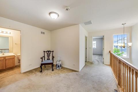 132 Durango Dr, Gilberts, IL 60136 photo 10