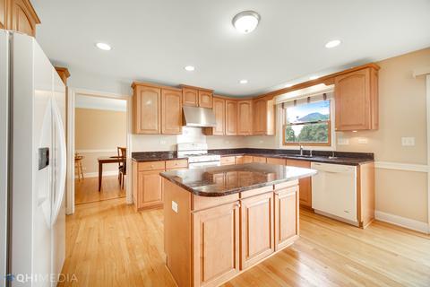 294 E Armitage Ave, Addison, IL 60101 photo 9