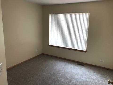 9813 Compton Dr, Huntley, IL 60142 photo 19