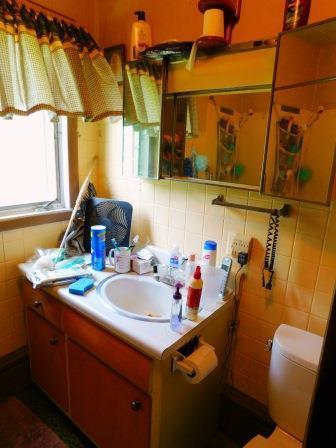 306 N Elm St, Cullom, IL 60929 photo 26