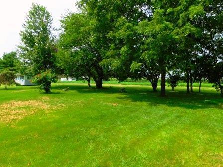 306 N Elm St, Cullom, IL 60929 photo 46