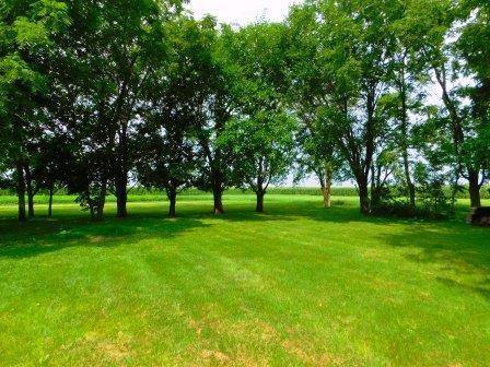306 N Elm St, Cullom, IL 60929 photo 47