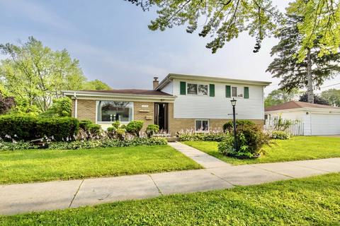 1704 Maple St, Des Plaines, IL 60018 photo 1