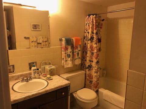 3107 Bernice Rd E #1, Lansing, IL 60438 photo 5