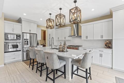 5752 River Birch Dr, Hoffman Estates, IL 60192 photo 19