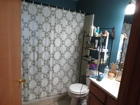 604 Grant St, Harvard, IL 60033 photo 17