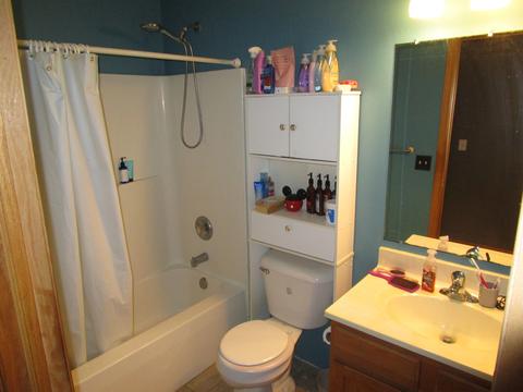 604 Grant St, Harvard, IL 60033 photo 14