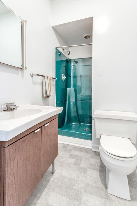 1360 E 49th St, Chicago, IL 60615 photo 29