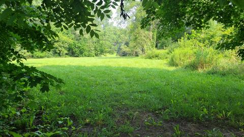 33 W336 Army Trail Rd, Wayne, IL 60184 photo 1