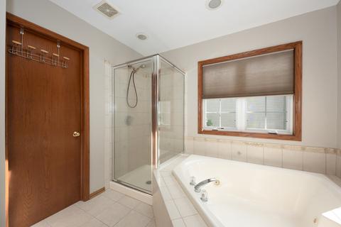40 Chestnut Ct, Elgin, IL 60120 photo 22