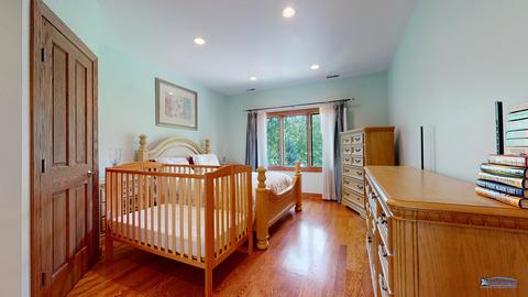 10058 Potter Rd N, Des Plaines, IL 60016 photo 22
