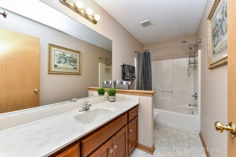 16737 Hazelwood Dr, Plainfield, IL 60586 photo 23