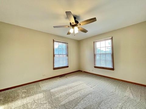 349 S Small Ave, Kankakee, IL 60901 photo 13