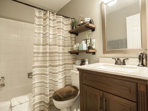 1439 Brahms Ct, Bartlett, IL 60103 photo 20