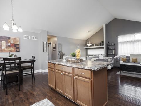 1439 Brahms Ct, Bartlett, IL 60103 photo 12