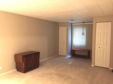 45 N Palazzo Dr, Addison, IL 60101 photo 17