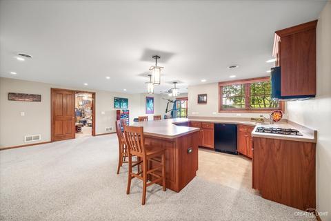 22920 Eider Dr, Plainfield, IL 60585 photo 35