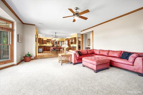22920 Eider Dr, Plainfield, IL 60585 photo 7