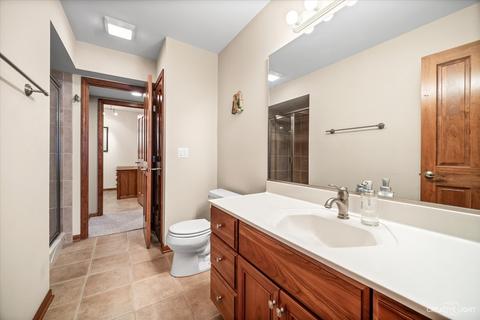 22920 Eider Dr, Plainfield, IL 60585 photo 39