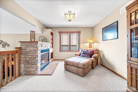 22920 Eider Dr, Plainfield, IL 60585 photo 24