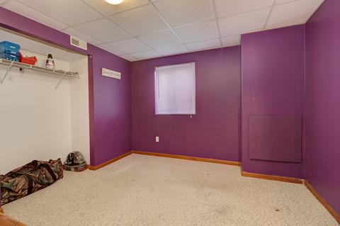 14061 S Mount Pleasant Ct, Plainfield, IL 60544 photo 20