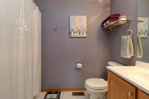 14061 S Mount Pleasant Ct, Plainfield, IL 60544 photo 17